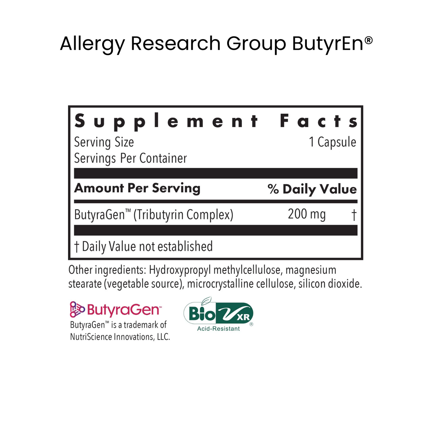 The Urban Monk | Candida