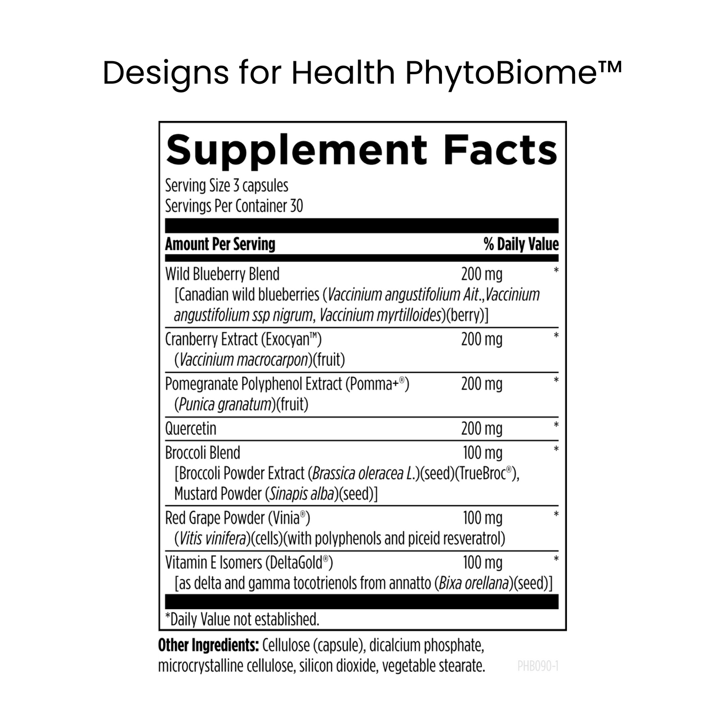 The Urban Monk - Candida