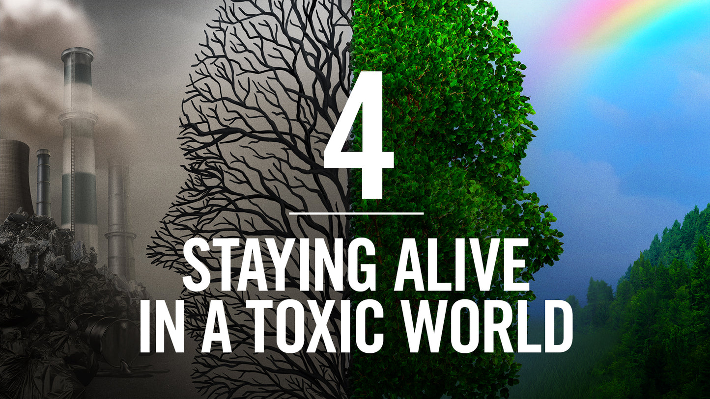 Interconnected Supported