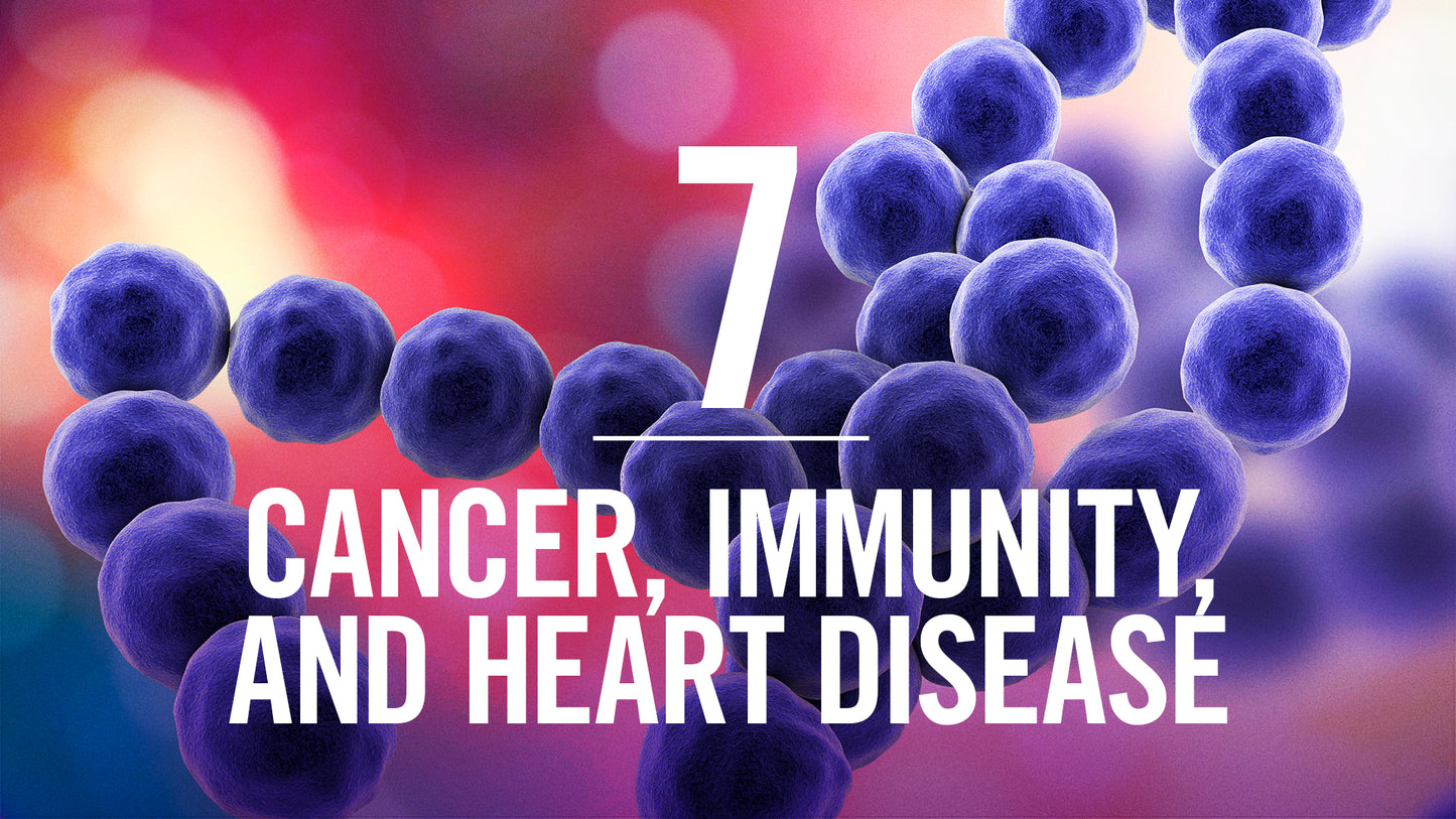 Interconnected Supported