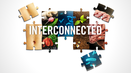 Interconnected Supported