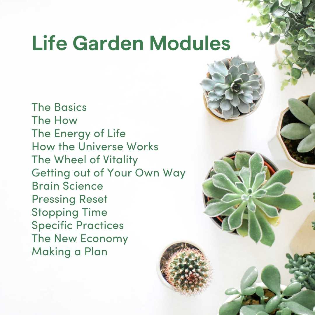 Life Garden