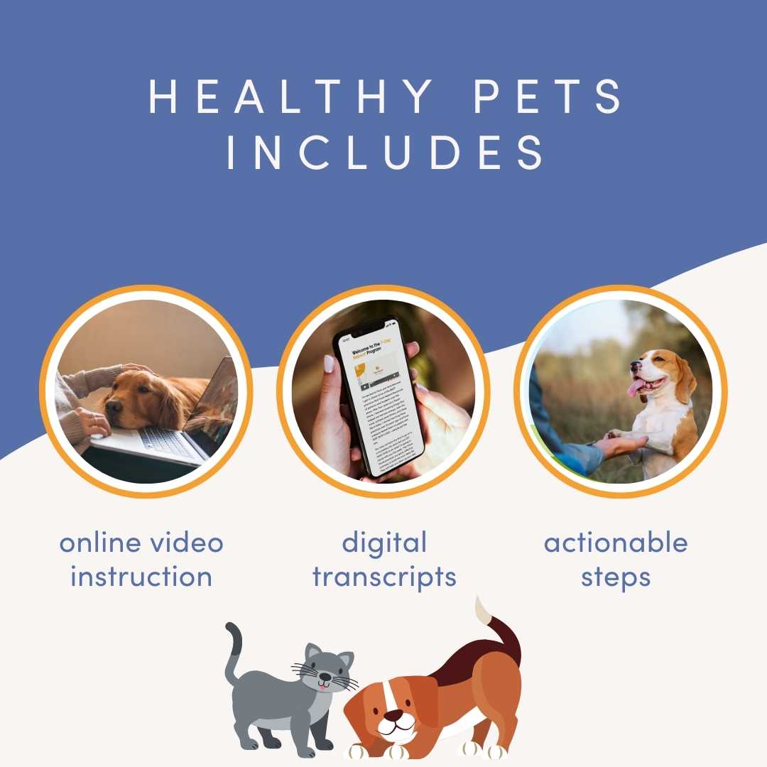 Healthy Pets