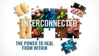 Interconnected Series Platinum